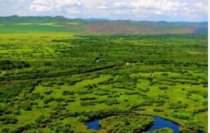 ����ʪ��